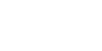 LEM